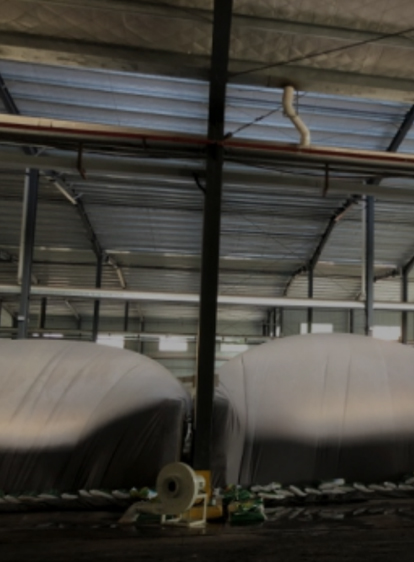 lewin乐玩官网-相信品牌力量